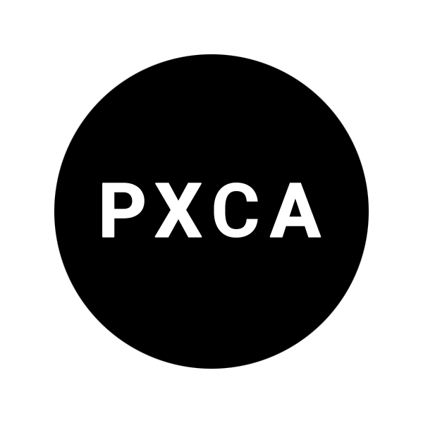 PixelCraft Agency
