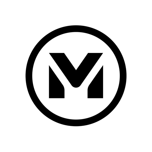 VizMasters